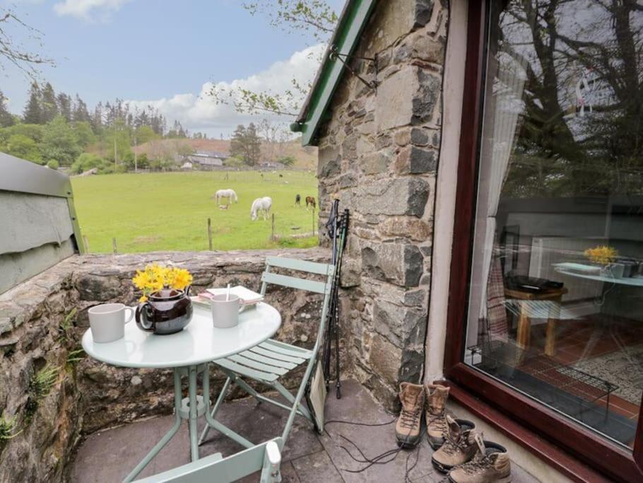 Y Gribyn - Modern Stone Cottage Within Snowdonia'S National Park Долгелай Екстериор снимка