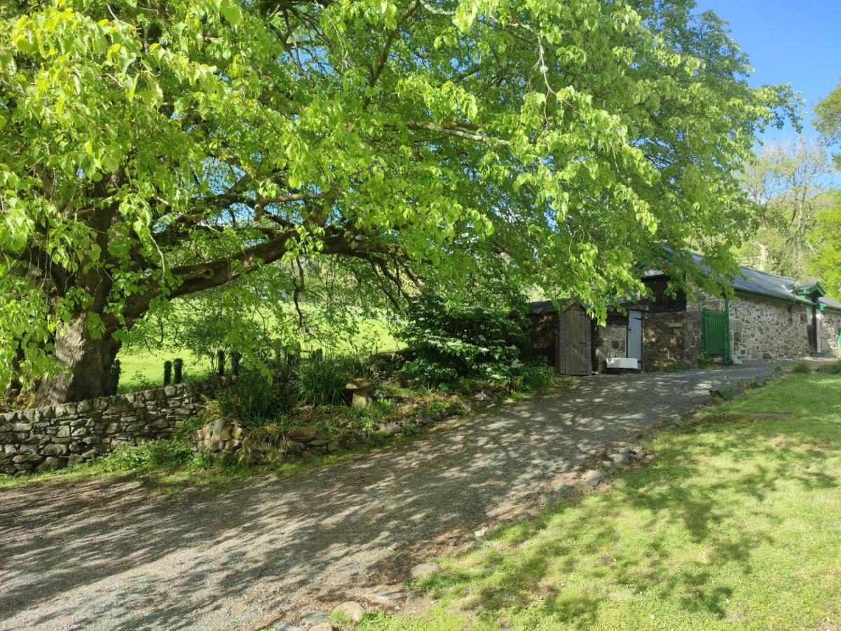 Y Gribyn - Modern Stone Cottage Within Snowdonia'S National Park Долгелай Екстериор снимка